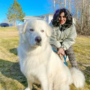 Meet your Posher, Sincy